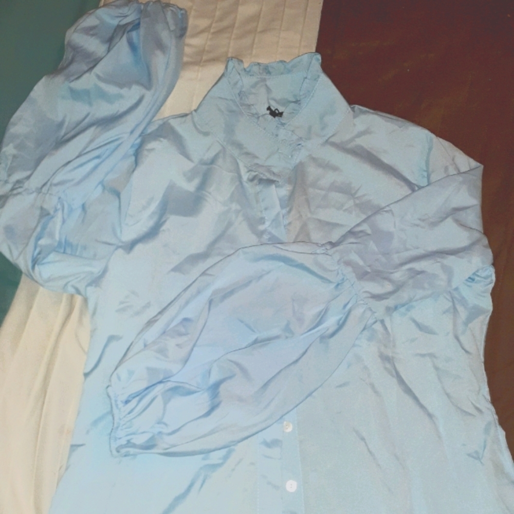 Balloon Arm blouse